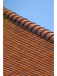 charpentes Duchêne-Arbois-Jura