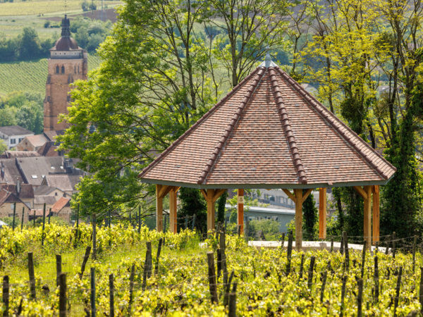 Kiosque octogonal en Petite tuiles plates - Duchêne Charpentes - Arbois - Jura